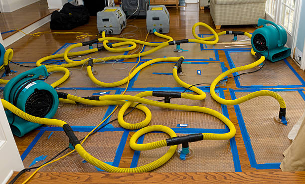 Professional Crawl Space Water Removal technician working in La Jara, NM